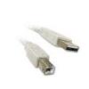 Cables to Go USB 2.0 A/B Cable - 16 ft