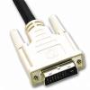 Cables to Go - Display cable - DVI-D (M) - DVI-D (M) - 10 ft