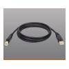 Tripp Lite 10FT USB 2.0 AB CABLE USBA TO USBB W/ GOLDECTORS RETAIL