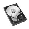Dell 80 GB 7200 RPM Internal Serial ATA Hard Drive for Dell PowerEdge SC Series Se...