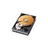 Western Digital 250GB Ultra ATA-100 Internal 7200rpm Caviar Hard Drive, 2MB Buffer...