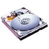 Seagate Barracuda 7200.8 - hard drive - 250 GB - SATA-150