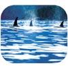 Fellowes whales nature design mouse pad, 9-1/4w x 8d x 1/4h