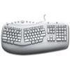 Logitech Office Comfort keyboard (;5 pack)