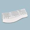 Microsoft Natural? Keyboard Elite with Intellitype Software