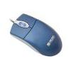 Micro Innovations optical wheel Mouse 3btn lighted optical whl mouse PC