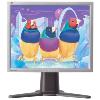 ViewSonic VP201S 20.1 in. TFT LCD Monitor