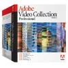 Adobe Video Collection 2.5 Pro for Windows