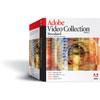 Adobe Video Collection 2.5 Std for Windows